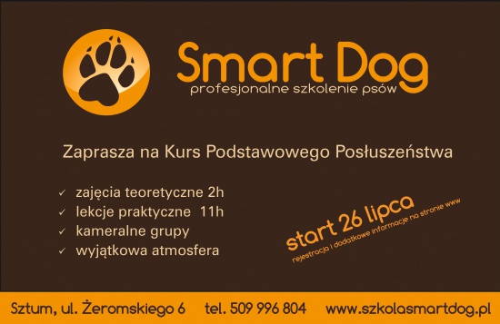 Szkolenie psów. Kurs podstawowego posłuszeństwa.