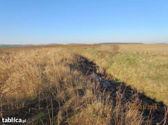 Działka mieszkaniowo-usługowa RÓŻYNY/PRUSZCZ Gd. 2500m2