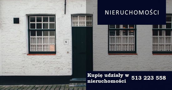 1) Kupię problematyczny udziały w nieruchomości!